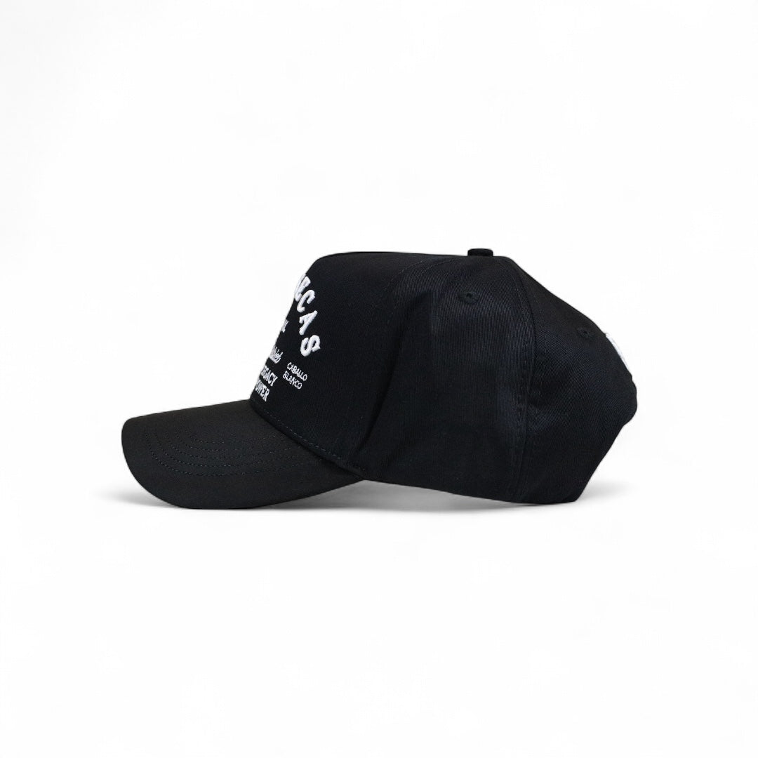 Zacatecas Cactus District Hat